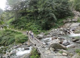 natural#nature#personaljourneys